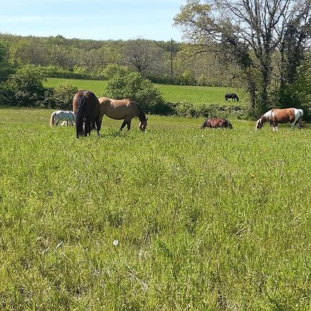 Ferme Brasseyrou - B&B Classique Devillac Luaran gambar