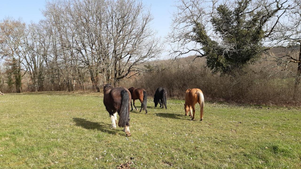 Ferme Brasseyrou - B&B Classique Devillac Luaran gambar