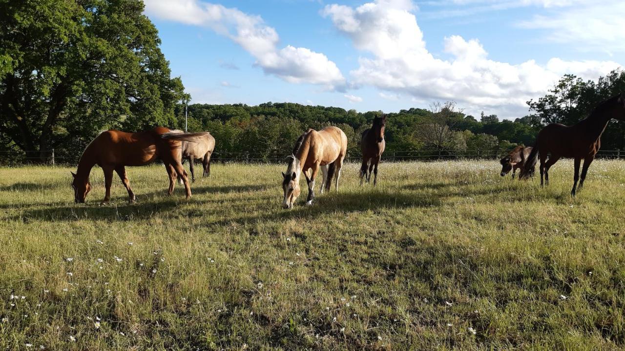 Ferme Brasseyrou - B&B Classique Devillac Luaran gambar